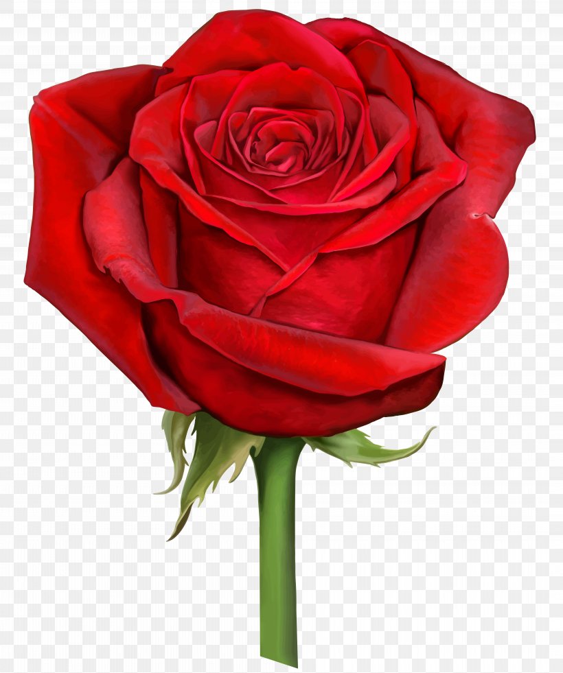 Rose Computer File, PNG, 8388x10039px, Rose, Artificial Flower, Blue Rose, Color, Cut Flowers Download Free