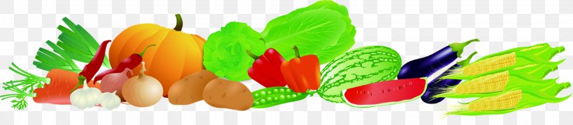 Vegetable Fruit Food, PNG, 2009x443px, 3d Computer Graphics, Vegetable, Eggplant, Flower, Food Download Free