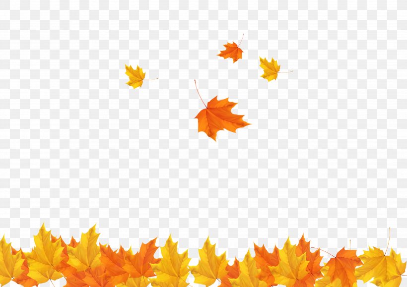 Autumn Leaf Clip Art, PNG, 3508x2480px, Leaf, Autumn, Autumn Leaf Color, Equinox, Flower Download Free