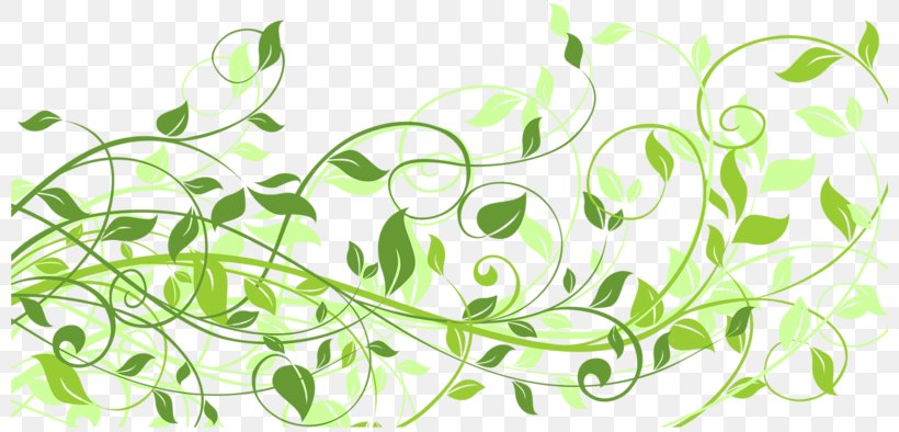 Euclidean Vector Photography Illustration, PNG, 800x394px, Photography, Branch, Flora, Floral Design, Flower Download Free