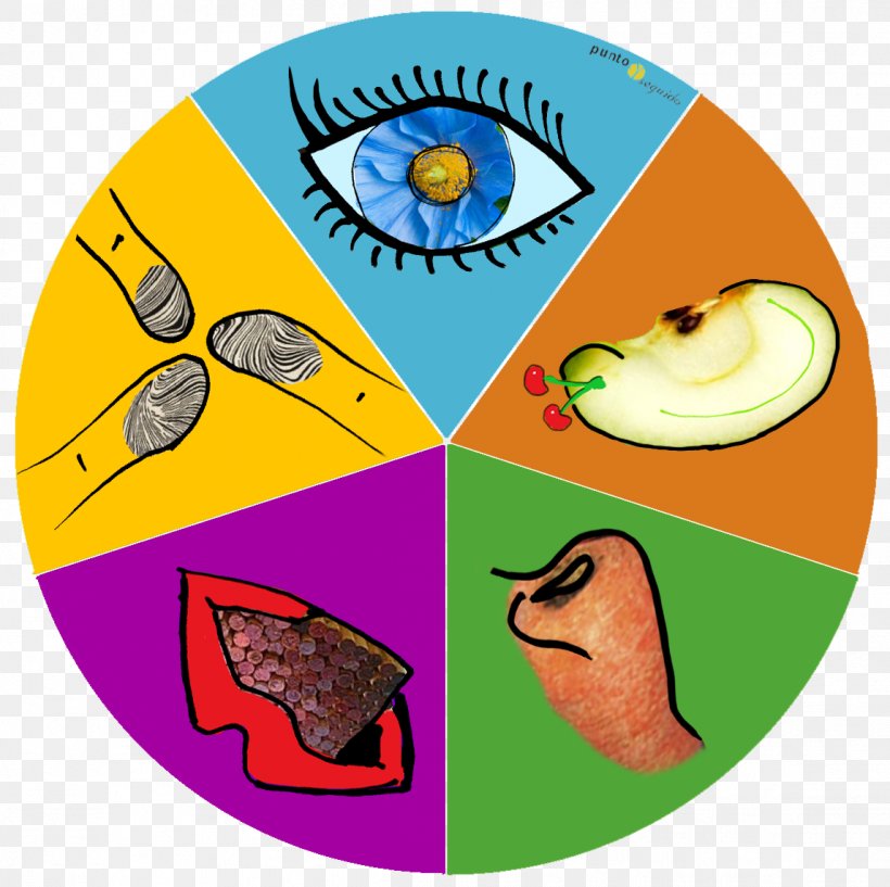 The Five Senses Function World Ear, PNG, 1147x1144px, Five Senses, Area, Artwork, Disk, Ear Download Free