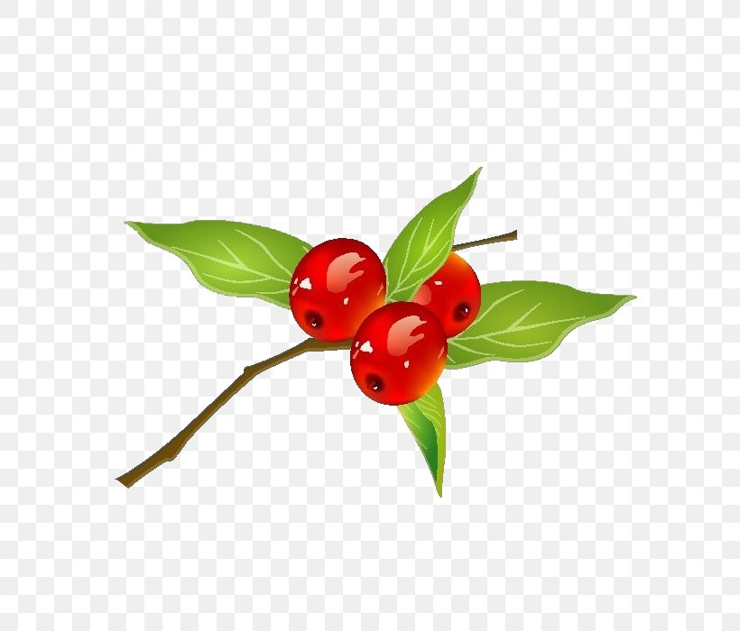 Zongzi Jujube Laba Congee Dim Sum, PNG, 700x700px, Zongzi, Aquifoliaceae, Art, Berry, Cartoon Download Free