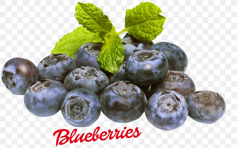 Blueberry Food Fruit Vaccinium Myrtilloides, PNG, 1920x1200px, Blueberry, Antioxidant, Berry, Bilberry, Chokeberry Download Free