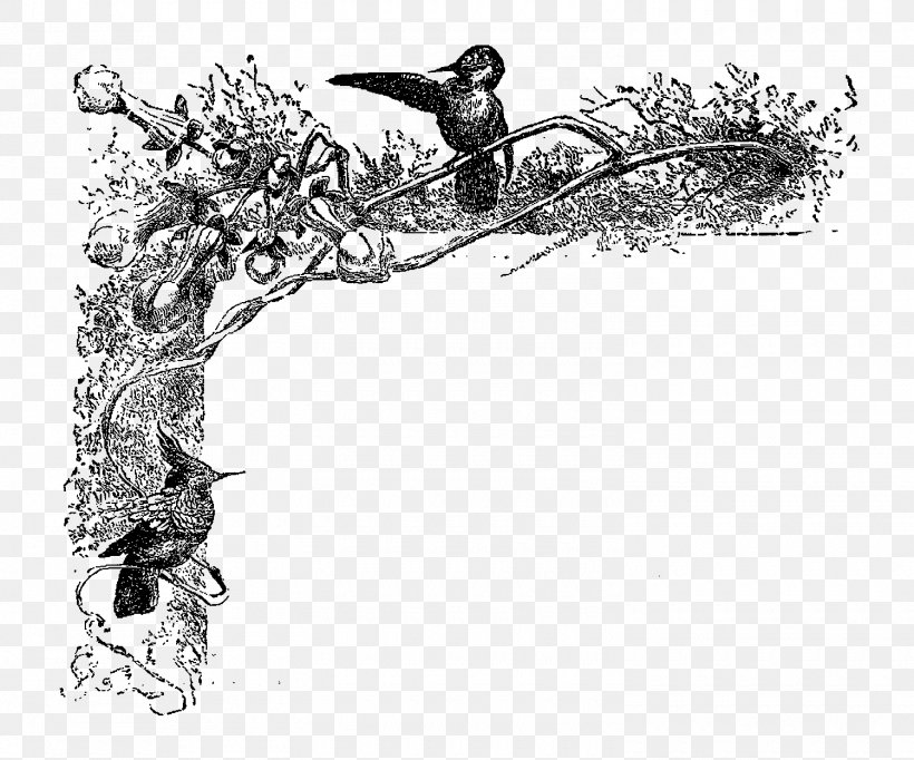 Hummingbird Clip Art, PNG, 1500x1248px, Bird, Art, Beak, Black And White, Branch Download Free