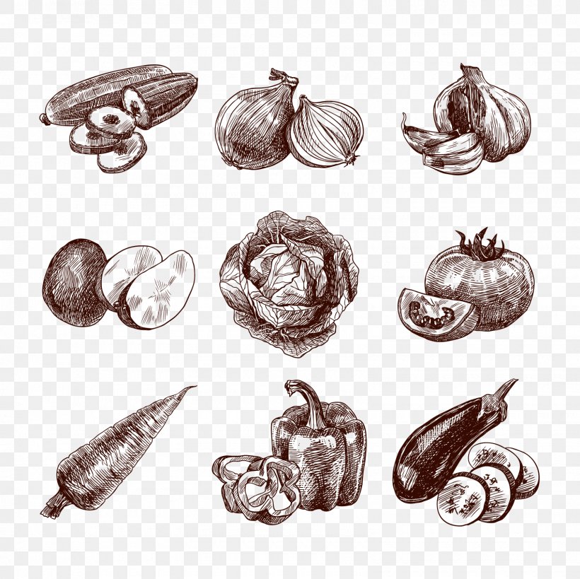 Organic Food Vegetable Drawing Sketch, PNG, 1600x1600px, Organic Food, Body Jewelry, Drawing, Fashion Accessory, Food Download Free