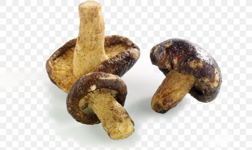 Shiitake Apéritif Cheese Matsutake Potato Chip, PNG, 912x544px, Shiitake, Cheese, Edible Mushroom, Flavour Enhancer, Ingredient Download Free