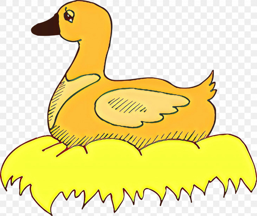 Bird Yellow Ducks, Geese And Swans Duck Beak, PNG, 1920x1614px, Bird, Beak, Duck, Ducks Geese And Swans, Goose Download Free