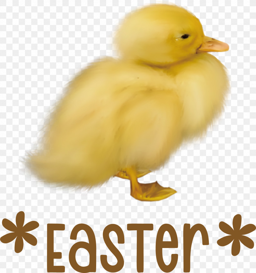 Easter Chicken Ducklings Easter Day Happy Easter, PNG, 2803x2993px, Easter Day, Beak, Biology, Birds, Duck Download Free