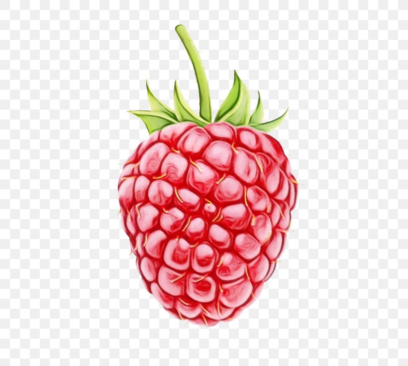 Strawberry, PNG, 680x735px, Watercolor, Accessory Fruit, Berry, Food, Fruit Download Free