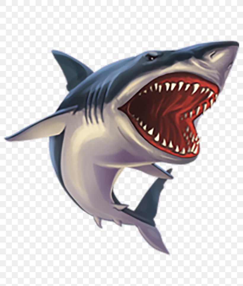 Tiger Shark Great White Shark Clip Art, PNG, 800x967px, 3d Computer Graphics, Shark, Animal, Bull Shark, Cartilaginous Fish Download Free