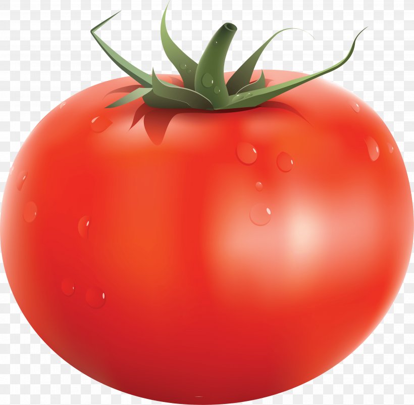 Tomato Soup Italian Tomato Pie Cherry Tomato, PNG, 3531x3451px, Tomato Juice, Bush Tomato, Cherry Tomato, Diet Food, Food Download Free