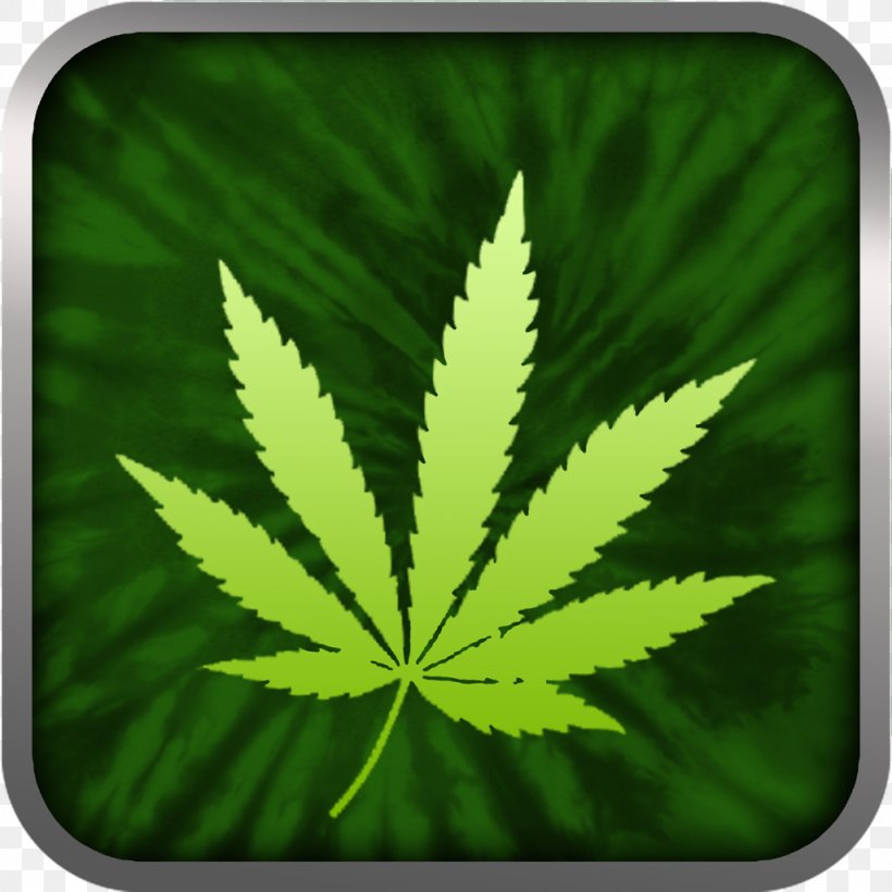 Cannabis Sativa Hemp Substance Abuse Narcotic, PNG, 1024x1024px, Cannabis, Cannabaceae, Cannabis Sativa, Drug, Grass Download Free