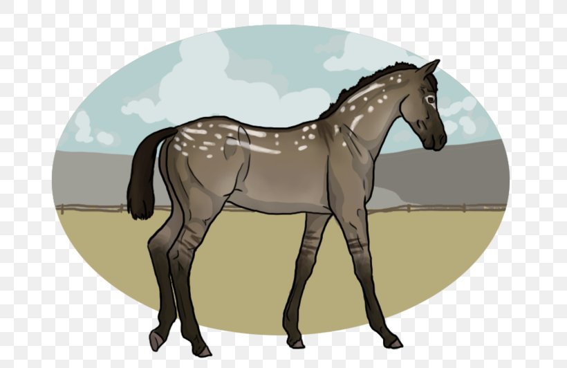 Foal Stallion Mare Rein Colt, PNG, 800x532px, Foal, Bridle, Cartoon, Colt, Halter Download Free