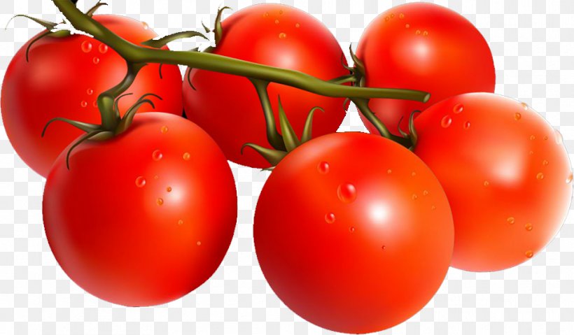 Plum Tomato Bush Tomato Red, PNG, 963x563px, Plum Tomato, Bush Tomato, Cherry, Diet Food, Food Download Free