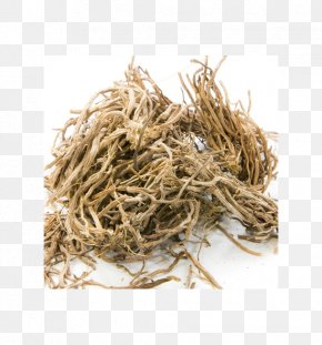 Oil - Vetivergrass Essential Oil Perfume PNG