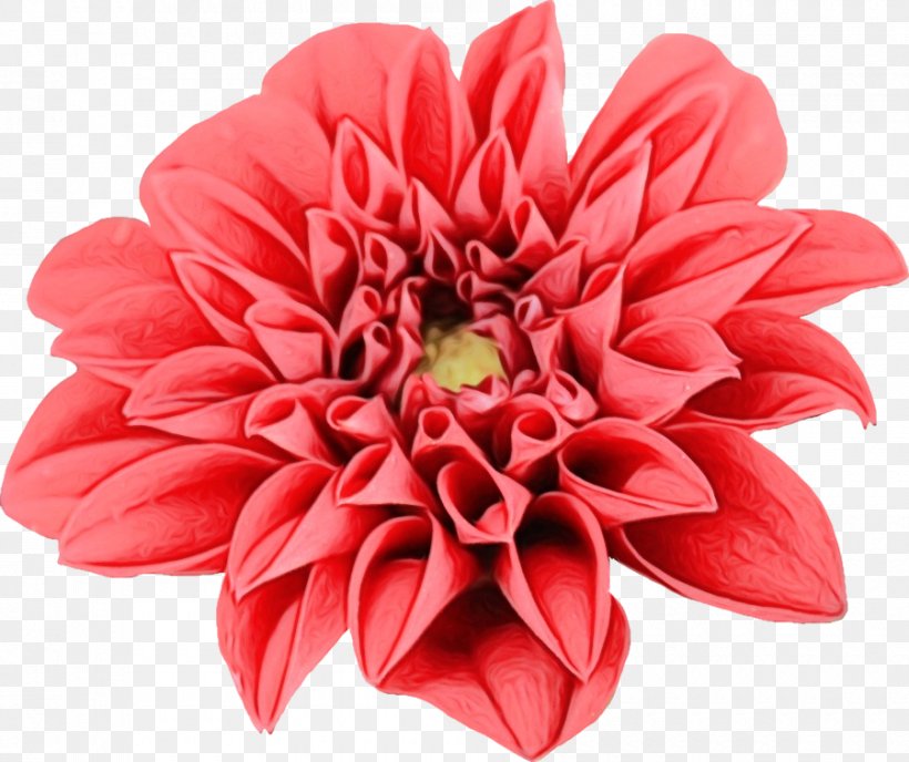 Artificial Flower, PNG, 900x756px, Watercolor, Artificial Flower, Cut Flowers, Dahlia, Flower Download Free