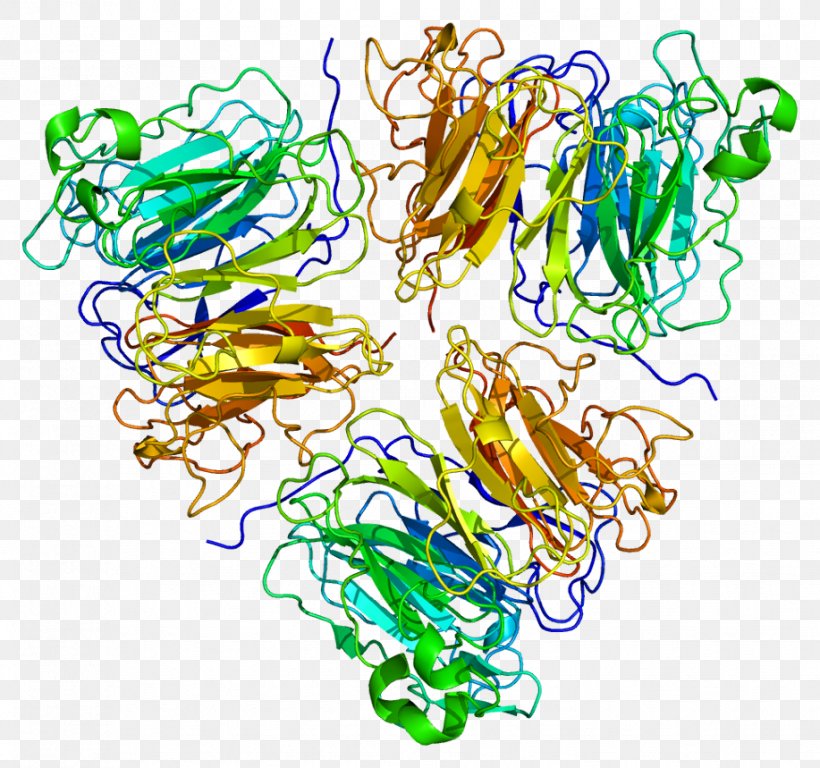 RCC1 Ran Guanine Nucleotide Exchange Factor GTP-binding Protein Regulators, PNG, 917x859px, Watercolor, Cartoon, Flower, Frame, Heart Download Free