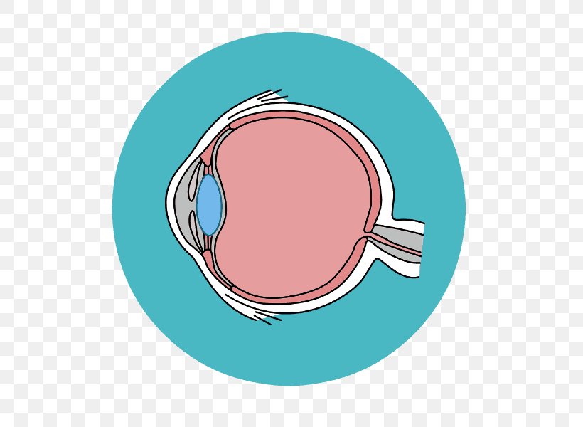 Eye Clip Art Retina Visual Perception Glaucoma, PNG, 600x600px, Eye, Aqua, Conjunctivitis, Eye Examination, Glaucoma Download Free