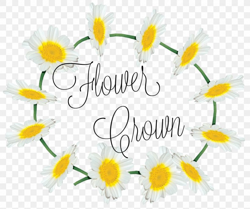 Floral Design Cut Flowers Petal Font, PNG, 1516x1265px, Floral Design, Cut Flowers, Daisy, Flora, Floristry Download Free