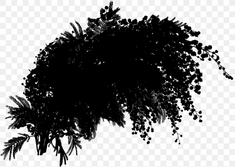 Silhouette Leaf Sky Black M, PNG, 1500x1066px, Silhouette, Black, Black M, Blackandwhite, Branch Download Free