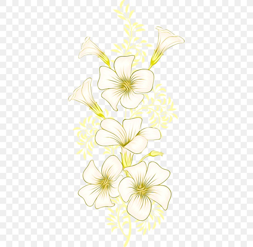 Floral Design Cut Flowers Branch Plant Stem, PNG, 377x800px, Flower, Branch, Cut Flowers, Drawing, Flora Download Free