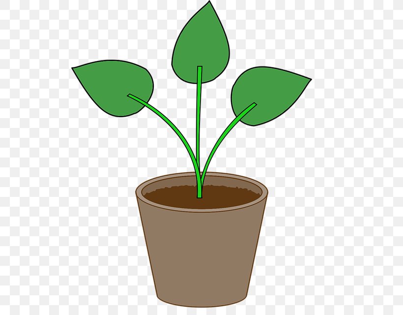 Flowerpot Clip Art Leaf Image, PNG, 640x640px, Flowerpot, Container Garden, Crop, Flower, Garden Download Free