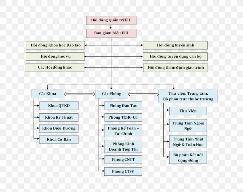 Ho Chi Minh City International University Eastern International University National Economics University Ho Chi Minh City University Of Information Technology Organization, PNG, 650x649px, Organization, Area, Brand, College, Diagram Download Free