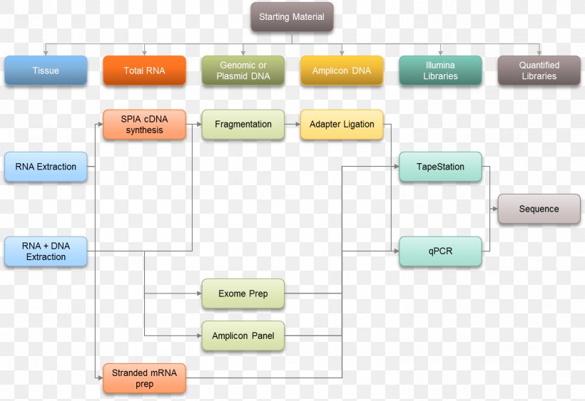 Brand Organization, PNG, 1494x1027px, Brand, Area, Communication, Diagram, Organization Download Free