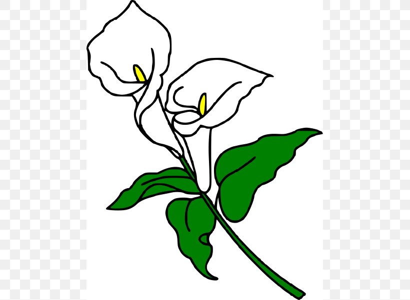 Callalily Arum-lily Easter Lily Flower Clip Art, PNG, 473x601px, Callalily, Art, Artwork, Arumlily, Black And White Download Free