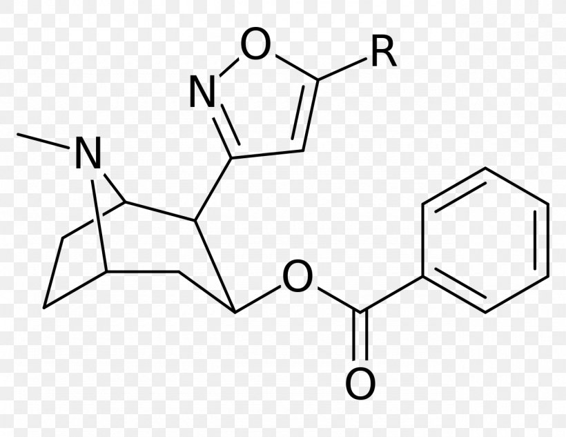 Catuabine Tropane Alkaloid Molecule Terephthalic Acid Chemical Compound, PNG, 1280x989px, Tropane Alkaloid, Alkaloid, Area, Benzoic Acid, Bioisostere Download Free