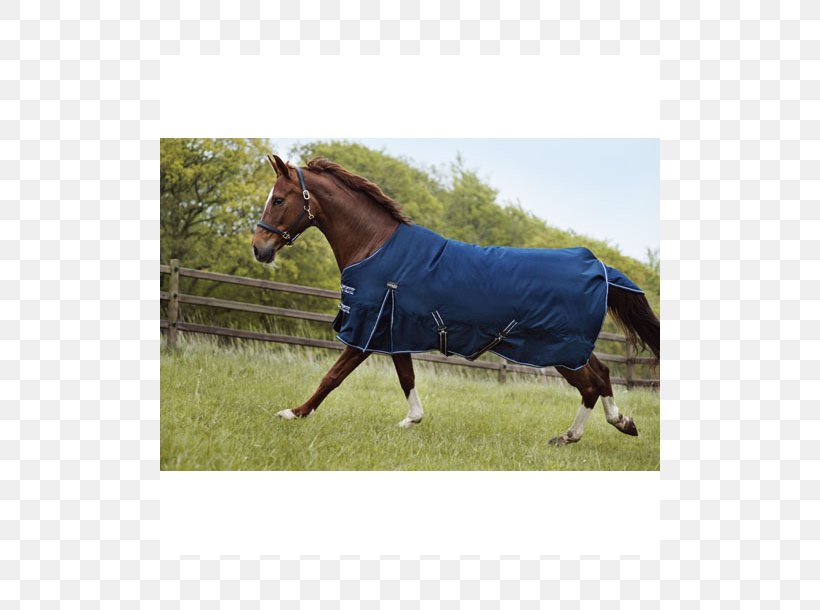 Horse Tack Pony Black Endurance Riding, PNG, 610x610px, Horse, Black, Blanket, Blue, Bridle Download Free