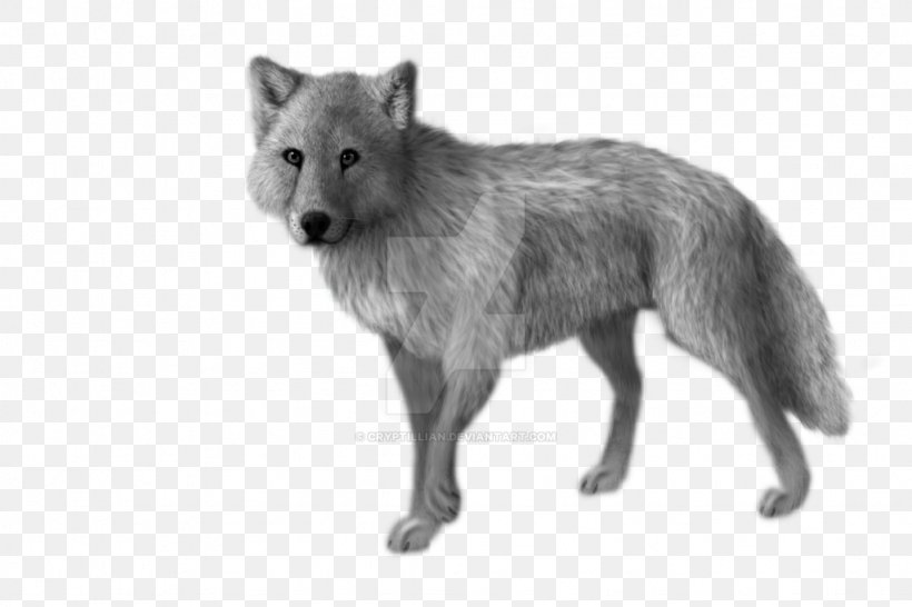Red Fox Coyote Alaskan Tundra Wolf Jackal Fur, PNG, 1024x683px, Red Fox, Alaskan Tundra Wolf, Animal, Black And White, Canis Download Free