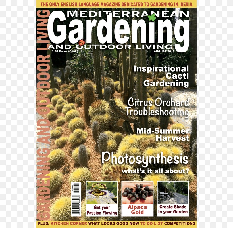 Citroën Cactus M Magazine, PNG, 800x800px, Magazine, Cactus, Flora, Local Food, Plant Download Free