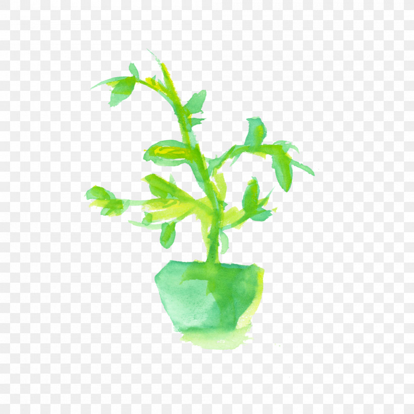 Flower Flowerpot Leaf Plant Houseplant, PNG, 2000x2000px, Watercolor Leaf, Branch, Flower, Flowerpot, Herb Download Free