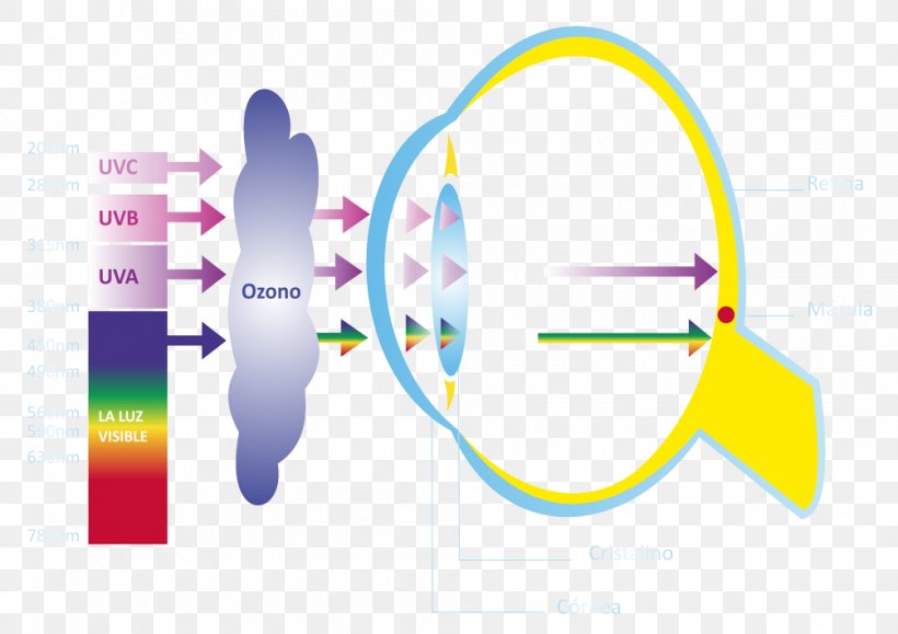 Light Absorption Eye Optics Ultraviolet, PNG, 1004x709px, Light, Absorption, Antireflective Coating, Area, Brand Download Free