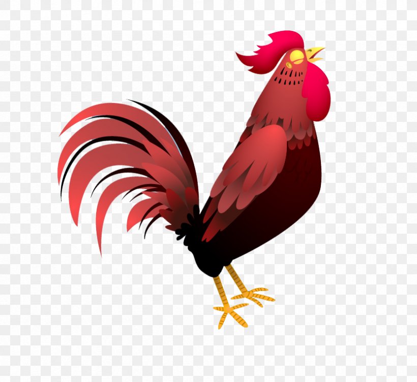 Rooster Chicken Drawing Cartoon, PNG, 833x764px, Rooster, Beak, Bird,  Cartoon, Chicken Download Free