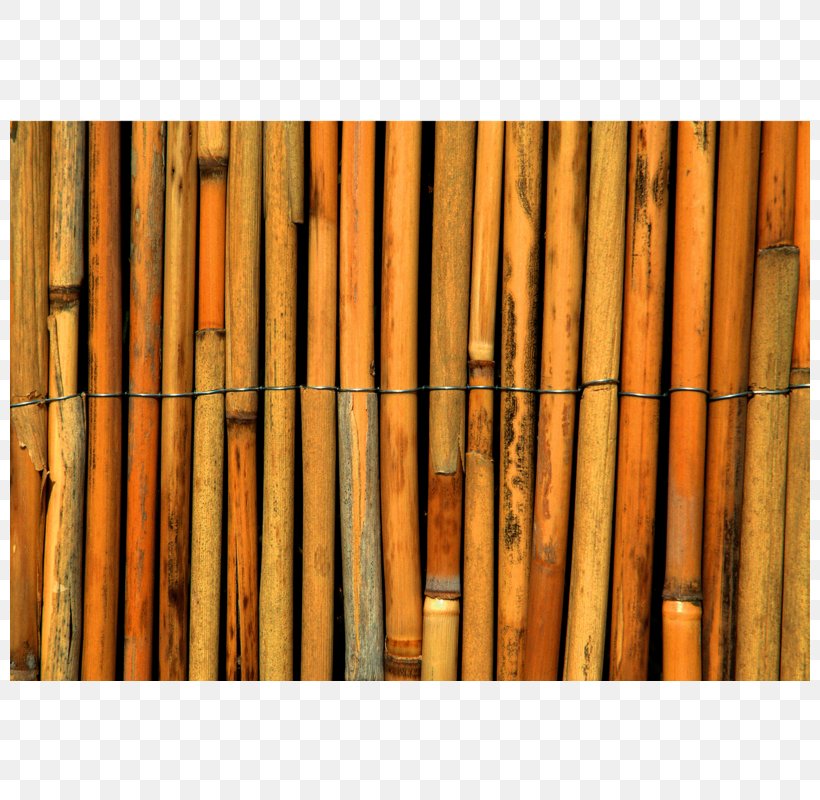 Tropical Woody Bamboos Paper Reed Fence Cane, PNG, 800x800px, Tropical Woody Bamboos, Bamboo, Cane, Curtain, Fence Download Free