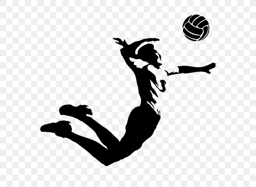 VC Zenit-Kazan Volleyball VC Belogorie Sport T-shirt, PNG, 600x600px, Volleyball, Arm, Artwork, Ball, Beach Volleyball Download Free