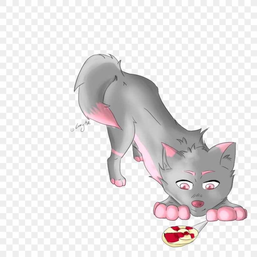 Whiskers Kitten Cat Dog Horse, PNG, 894x894px, Watercolor, Cartoon, Flower, Frame, Heart Download Free