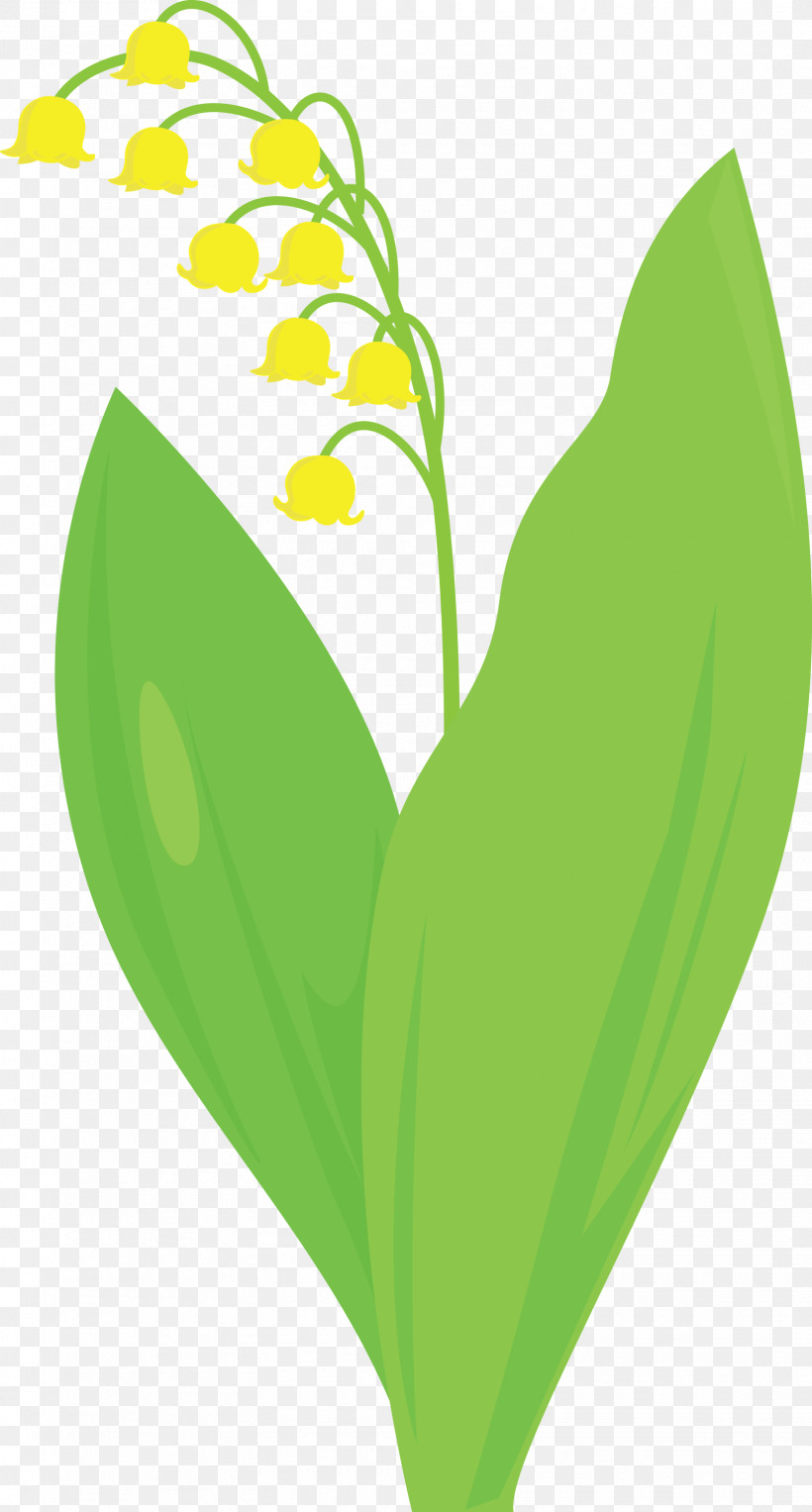 Lily Bell Flower, PNG, 1610x3000px, Lily Bell, Anthurium, Flower, Green, Heart Download Free