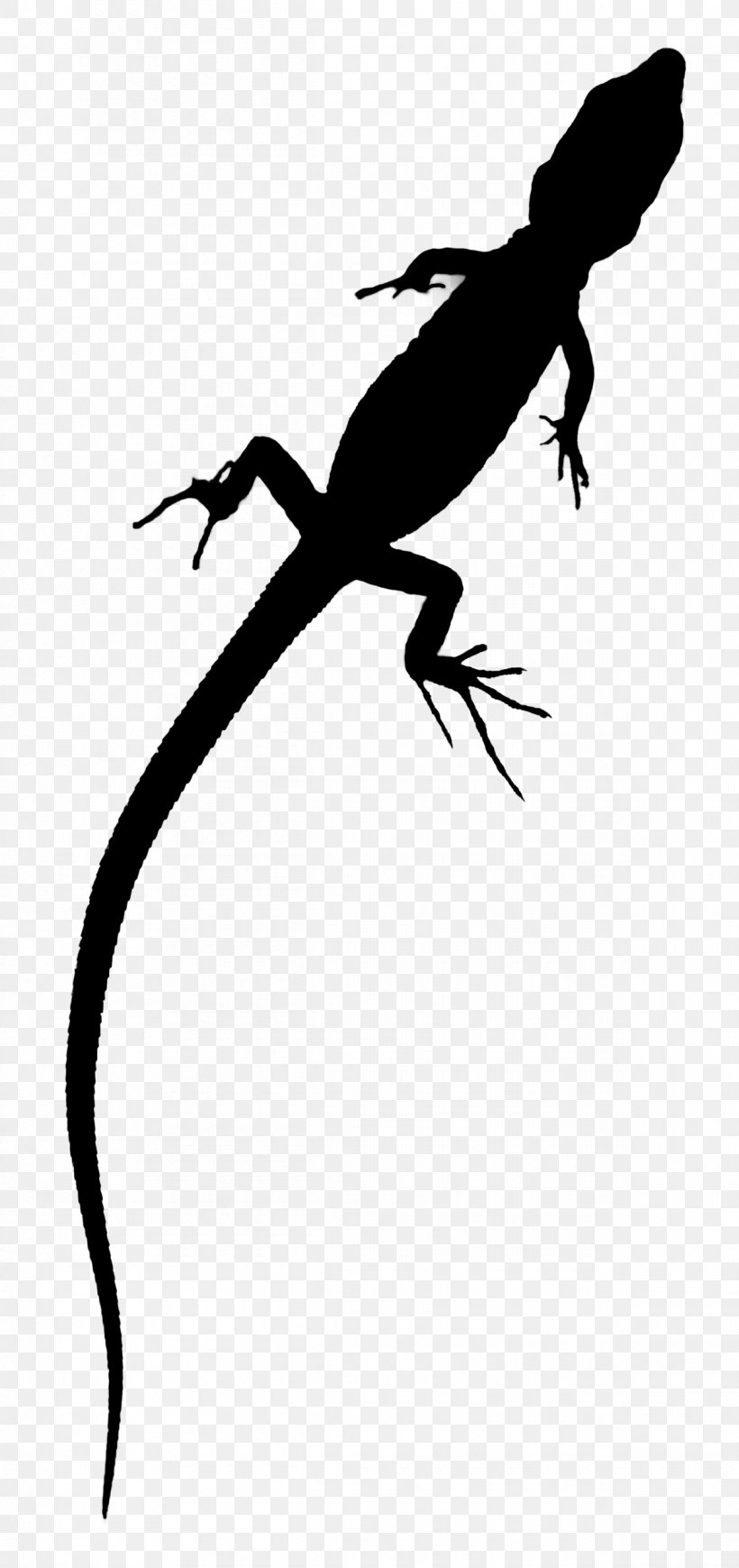 Lizard Amphibians Clip Art Fauna Line, PNG, 1200x2545px, Lizard, Amphibians, Beak, Fauna, Gecko Download Free