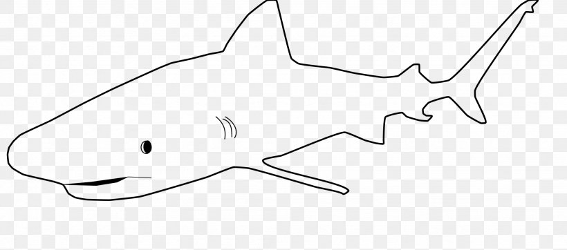 Requiem Shark White Marine Mammal Clip Art, PNG, 2048x906px, Requiem Shark, Animal Figure, Area, Black And White, Fish Download Free