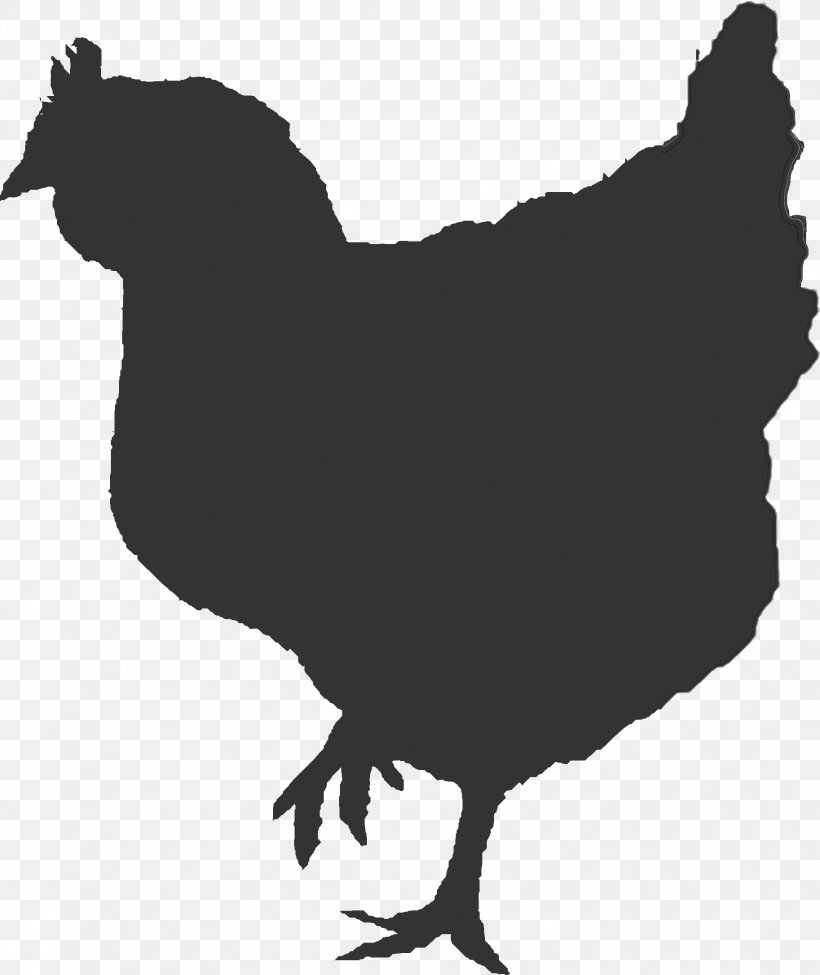 Rooster Chicken As Food Broiler Clip Art, PNG, 1826x2173px, Rooster, Beak, Bird, Broiler, Chicken Download Free