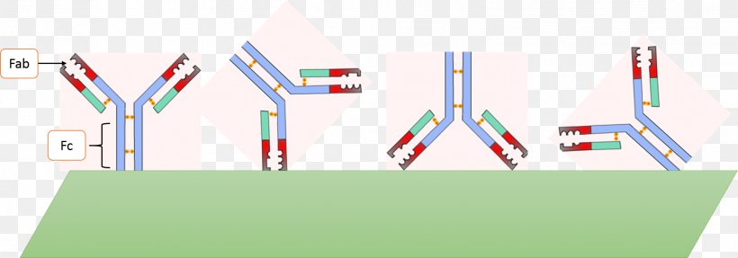 Cut, Copy, And Paste Enciclopedia Libre Universal En Español, PNG, 1908x670px, Cut Copy And Paste, Area, Brand, Diagram, Encyclopedia Download Free