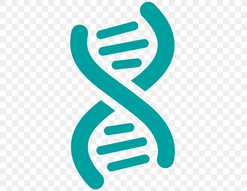 DNA Genetics Biology, PNG, 3338x2588px, Dna, Biology, Brand, Chromosome, Finger Download Free