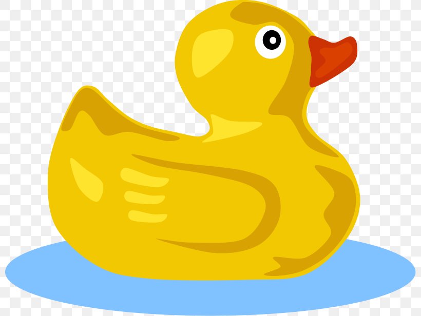 Rubber Duck Clip Art, PNG, 800x616px, Duck, Bathtub, Beak, Bird, Ducks Geese And Swans Download Free