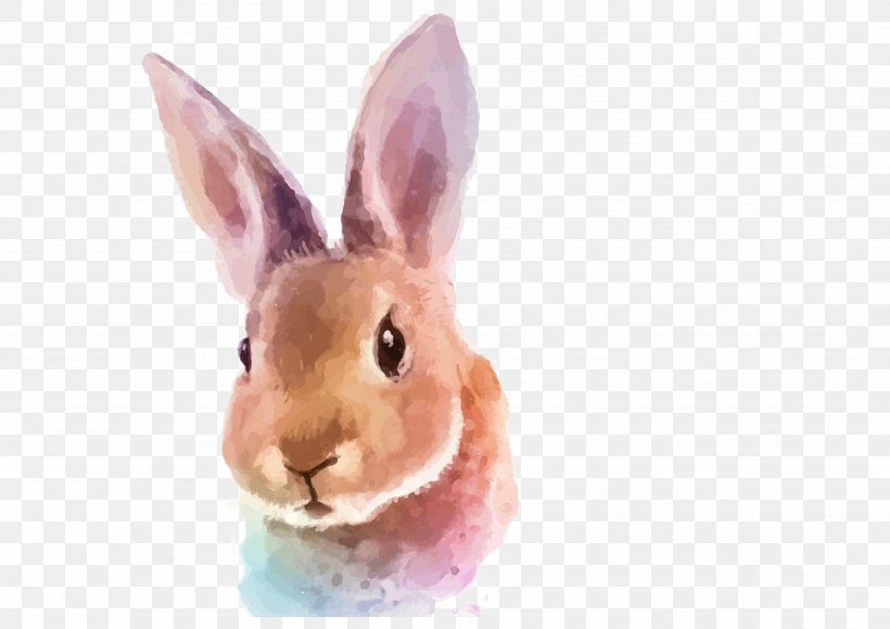 Watercolor Painting Rabbit Illustration, PNG, 3508x2480px, Watercolor Painting, Art, Brush, Canvas, Domestic Rabbit Download Free