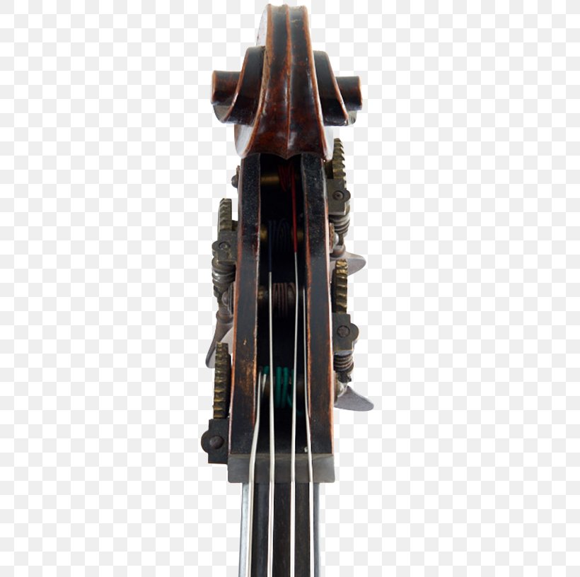 Cello Double Bass Violin Scroll, PNG, 500x816px, Cello, Bass Guitar, Bowed String Instrument, Camillo Mandelli, Double Bass Download Free