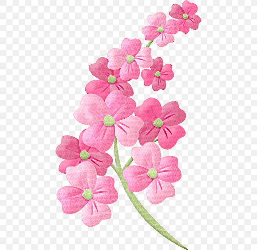 Flower Floral Illustrations Clip Art, PNG, 466x800px, Flower, Blossom, Branch, Cherry Blossom, Cut Flowers Download Free