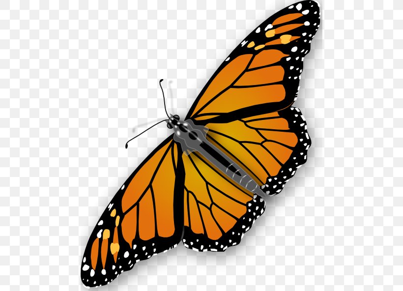 Butterfly Clip Art, PNG, 492x592px, Butterfly, Arthropod, Brush Footed Butterfly, Copyright, Insect Download Free